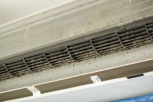Best Affordable HVAC Duct Cleaning  in Martindale, TX