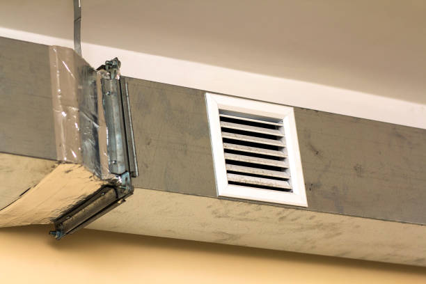 Best Local Air Duct Cleaning Services  in Martindale, TX
